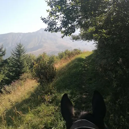 Petit Reve De Montagnes Appartamento *
